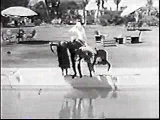 Whispering Whoopee,  Pool Dunk