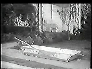 Pete Smith short film