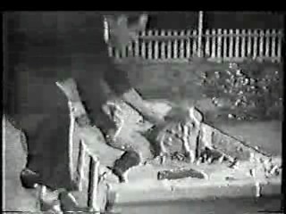 Pete Smith short film