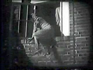 Leon Errol short film