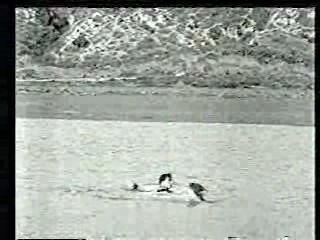 Abbott & Costello,  Buster Keaton