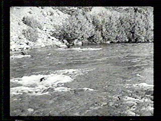 Buster Keaton films,  Keaton Documentary