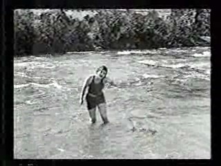 Buster Keaton films,  Keaton Documentary