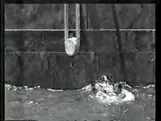 Buster Keaton documentary