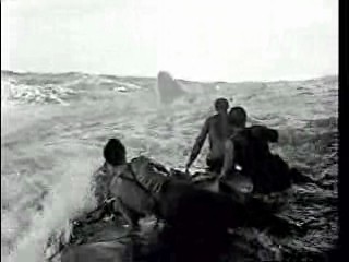 Foreign Correspondent