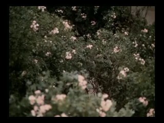 Jak se budi princezny - Czech fairy tale