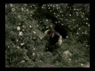 Jak se budi princezny - Czech fairy tale