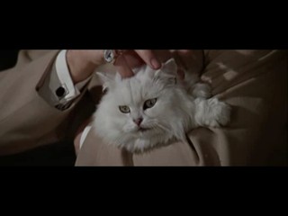 You Only Live Twice.avi