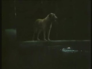 Jak utopit doktora Mracka (czech movie 1974)