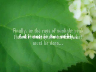 Teaser for wamkitty.com