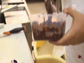 Next Top Model: Poland