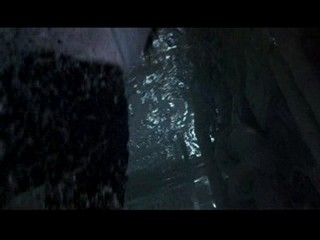 Denise Richards - The World is Not Enough