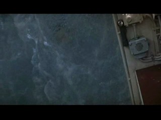 Denise Richards - The World is Not Enough