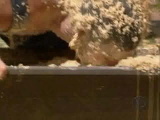 Big Brother 7 -  slop challenge