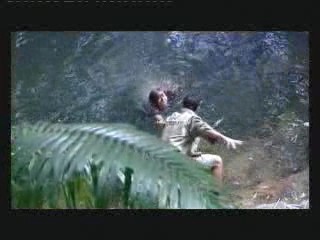 I'm a Celebrity - get me Outta Here (UK version)