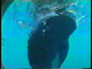 Japanese TV  gameshow