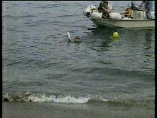 Japanese TV gameshow