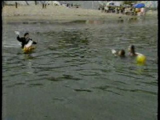 Japanese TV gameshow