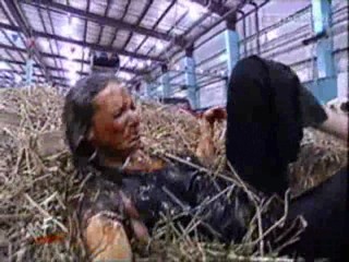 WWE - stephanie mcmahon