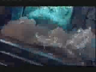 Dr Who - The Runaway Bride