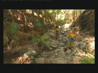 I'm a Celebity - Get Me Outta Here