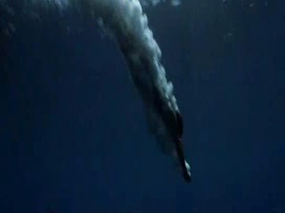 Pirates of the Carribean