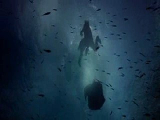 Pirates of the Carribean