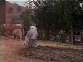 Second Time Around, The