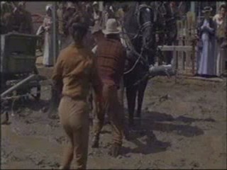 Support Your Local Sheriff