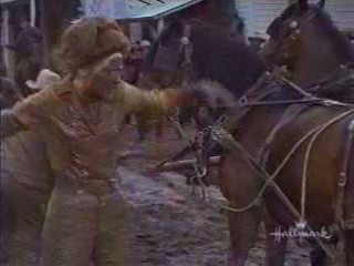 Support Your Local Sheriff