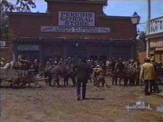 Support Your Local Sheriff