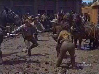 Support Your Local Sheriff