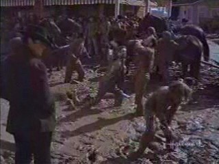 Support Your Local Sheriff