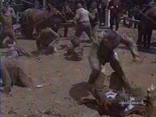 Support Your Local Sheriff