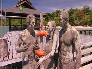 The Really Wild Show