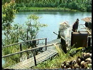 Born to Fight,  Target commercial