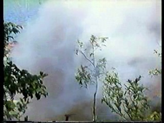 Born to Fight,  Target commercial