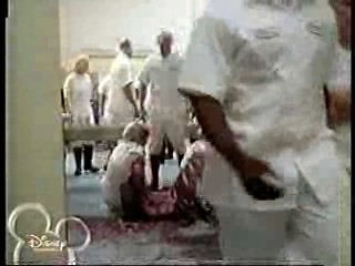 Chicago Chocolate festival,  Cowbelles