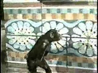 Tarzan (1968 tv series)