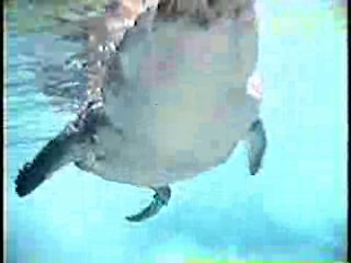 Tarzan (1968 tv series),  General Hospital