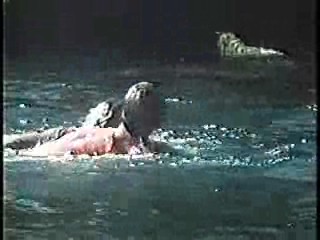 Tarzan (1968 tv series),  General Hospital