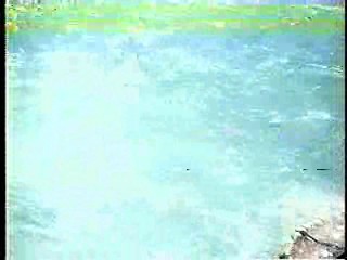 Private Benjamin,  Magnum P.I.