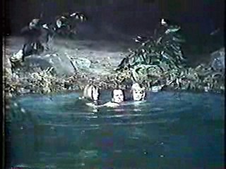 Harper Valley PTA,,  Tarzan TV series