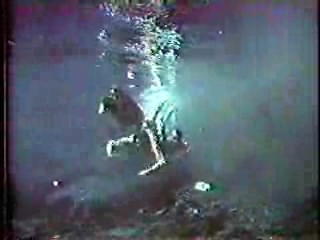 Harper Valley PTA,,  Tarzan TV series