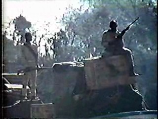 Harper Valley PTA,,  Tarzan TV series