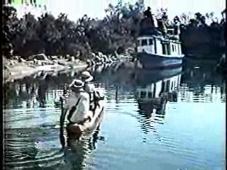 Harper Valley PTA,,  Tarzan TV series