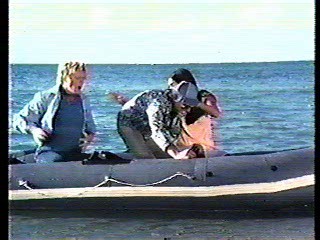 Greatest American Hero,  CHiPs