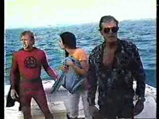 Greatest American Hero,  CHiPs