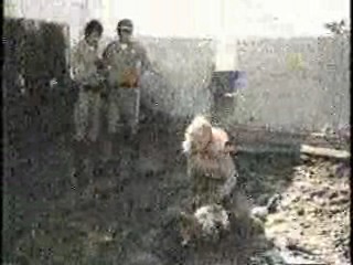 Greatest American Hero,  CHiPs