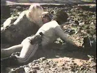 Greatest American Hero,  CHiPs